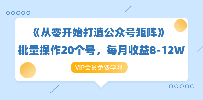 《从零开始打造公众号矩阵》批量操作20个号，每月收益大概8-12W（44节课）-文强博客