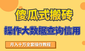 搬砖操作大数据查询信用项目赚钱教程，祝你快速月入6万-文强博客