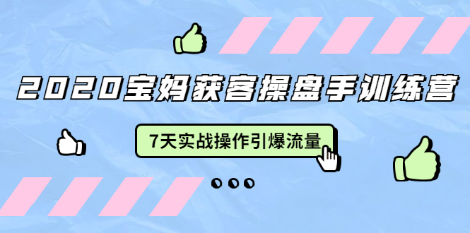 2020宝妈获客操盘手训练营：7天实战操作引爆 母婴、都市、购物宝妈流量-文强博客