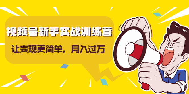 视频号新手实战训练营，让变现更简单，玩赚视频号，轻松月入过万-文强博客