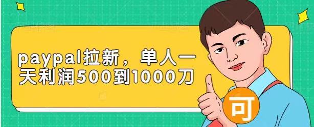 Paypal拉新赚美刀项目，单人一天利润500-1000刀【视频课程】-文强博客