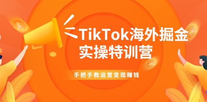 TikTok海外掘金实操特训营：手把手教运营变现赚钱-文强博客