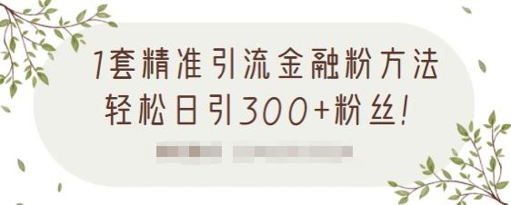 1套精准引流金融粉方法，轻松日引300+粉丝-文强博客