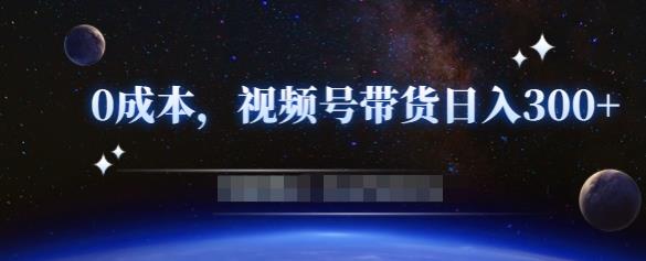 零基础视频号带货赚钱项目，0成本0门槛轻松日入300+【视频教程】-文强博客