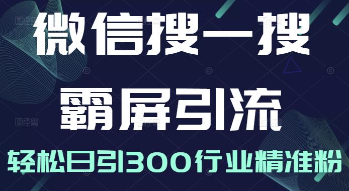 微信搜一搜霸屏引流课，打造被动精准引流系统，轻松日引300行业精准粉-文强博客