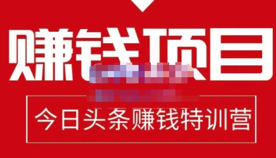 懒人领域·今日头条项目玩法，头条中视频项目，单号收益在50—500可批量-文强博客