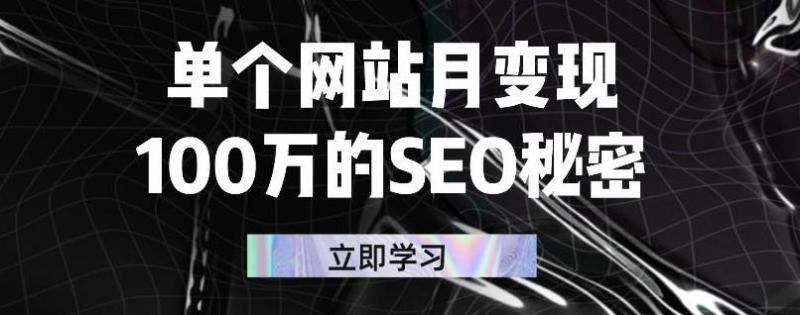 单个网站月变现100万的SEO秘密，百分百做出赚钱站点-文强博客