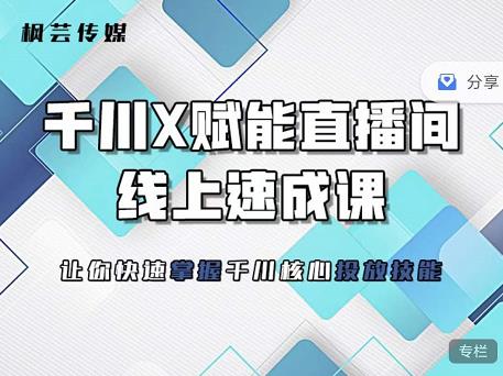 枫芸传媒-线上千川提升课，提升千川认知，提升千川投放效果-文强博客