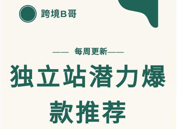 【跨境B哥】独立站潜力爆款选品推荐，测款出单率高达百分之80-文强博客