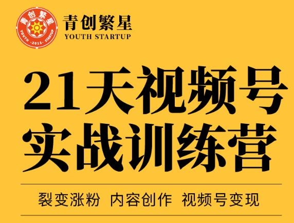 张萌21天视频号实战训练营，裂变涨粉、内容创作、视频号变现 价值298元-文强博客