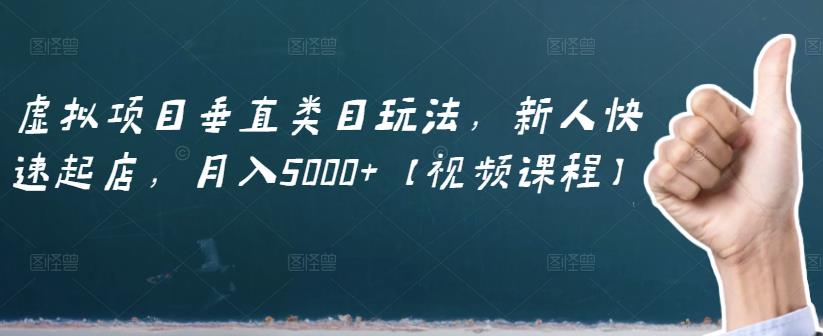 虚拟项目垂直类目玩法，新人快速起店，月入5000+【视频课程】-文强博客