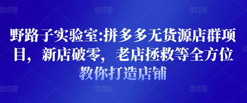 野路子实验室:拼多多无货源店群项目，新店破零，老店拯救等全方位教你打造店铺-文强博客