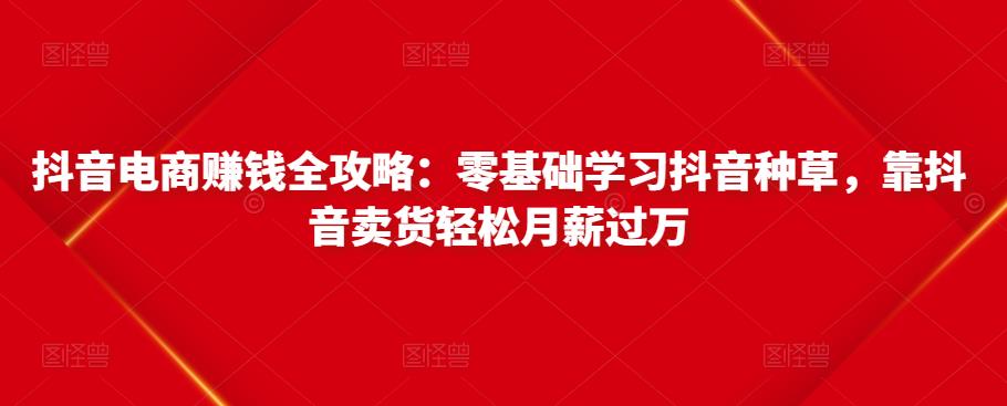 抖音电商赚钱全攻略：零基础学习抖音种草，靠抖音卖货轻松月薪过万-文强博客