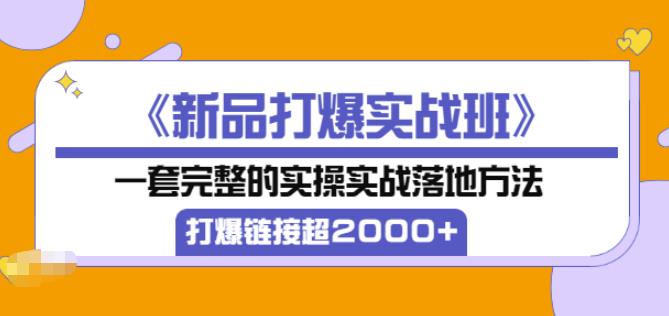 凌童《新品打爆实战班》,一套完整的实操实战落地方法，打爆链接超2000+（28节课)-文强博客