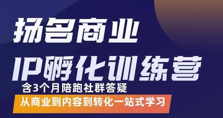 杨名商业IP孵化训练营，从商业到内容到转化一站式学 价值5980元-文强博客