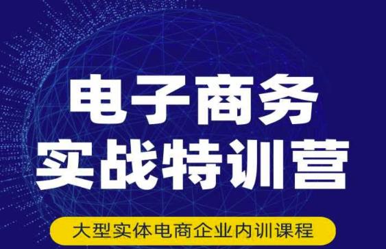 民赛电气内部出品：电子商务实战特训营，全方位带你入门电商，308种方式玩转电商-文强博客