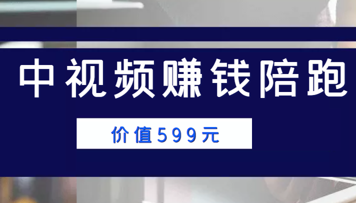 中视频赚钱陪跑，卖中视频账户赚钱收益陪跑项目（价值599元）-文强博客