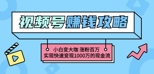 玩转微信视频号赚钱：小白变大咖涨粉百万实现快速变现1000万的现金流-文强博客