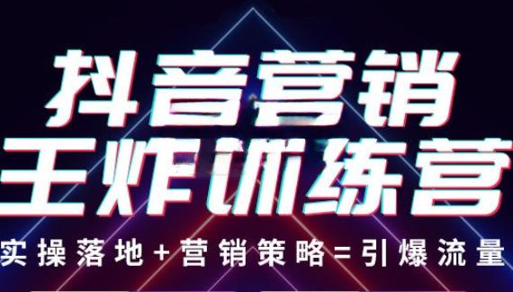 抖音营销王炸训练营，实操落地+营销策略=引爆流量（价值8960元）-文强博客