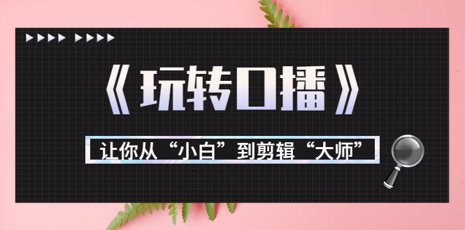 月营业额700万+大佬教您《玩转口播》让你从“小白”到剪辑“大师”-文强博客