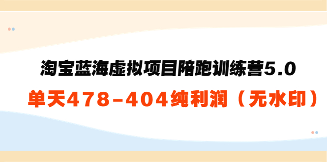 淘宝蓝海虚拟项目陪跑训练营5.0：单天478纯利润-文强博客