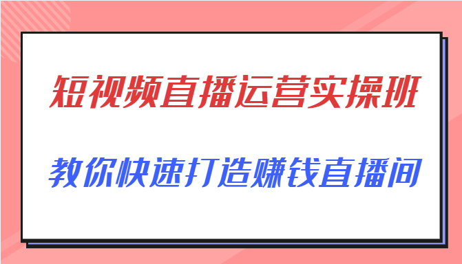 短视频直播运营实操班，直播带货精细化运营实操，教你快速打造赚钱直播间-文强博客