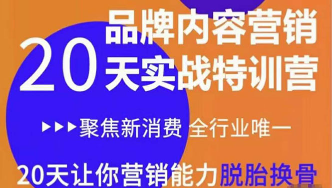 《内容营销实操特训营》20天让你营销能力脱胎换骨（价值3999）-文强博客