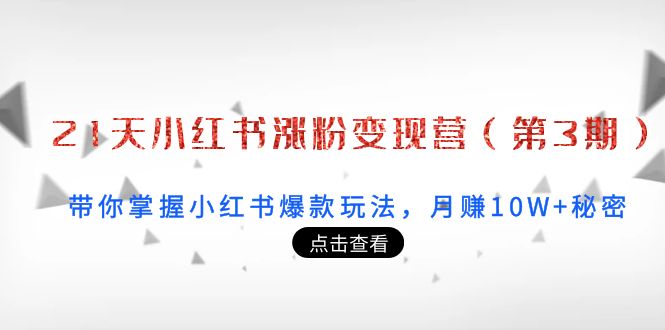 21天小红书涨粉变现营（第3期）：带你掌握小红书爆款玩法，月赚10W+秘密-文强博客