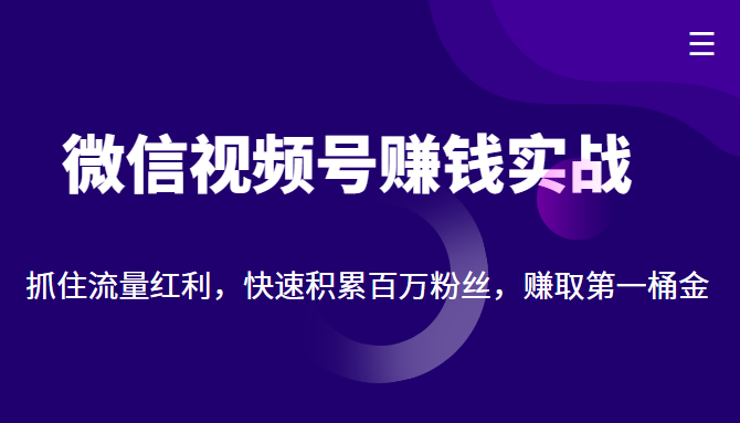 微信视频号赚钱实战：抓住流量红利，快速积累百万粉丝，赚取你的第一桶金-文强博客