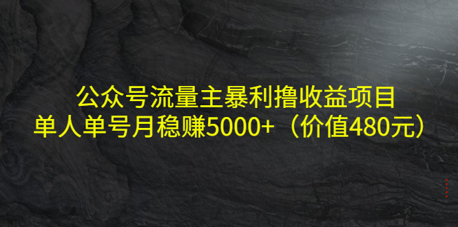 公众号流量主暴利撸收益项目，单人单号月稳赚5000+（价值480元）-文强博客