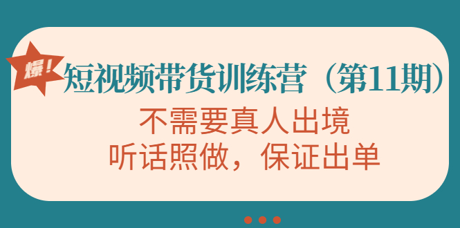 视频带货训练营，不需要真人出境，听话照做，保证出单（第11期）-文强博客