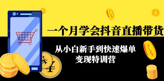 一个月学会抖音直播带货：从小白新手到快速爆单变现特训营(63节课)-文强博客