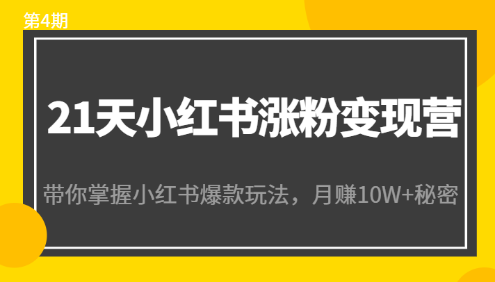 21天小红书涨粉变现营（第4期）：带你掌握小红书爆款玩法，月赚10W+秘密-文强博客