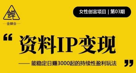 资料IP变现，能稳定日赚3000起的持续性盈利玩法-文强博客