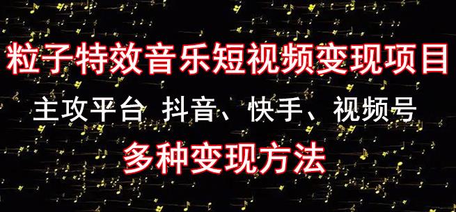 黄岛主《粒子特效音乐短视频变现项目》主攻平台抖音、快手、视频号多种变现方法-文强博客