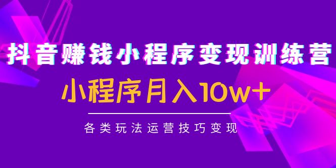 抖音赚钱小程序变现训练营：小程序月入10w+各类玩法运营技巧变现-文强博客