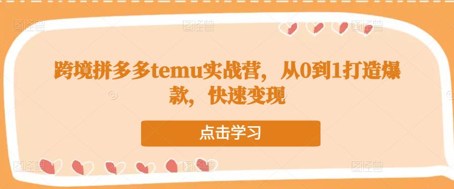 跨境拼多多temu实战营，从0到1打造爆款，快速变现-文强博客