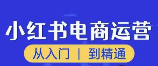 顽石小红书电商高阶运营课程，从入门到精通，玩法流程持续更新-文强博客