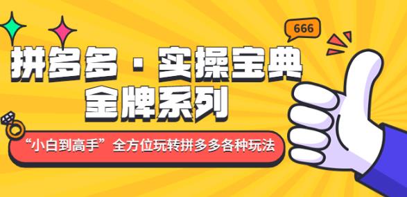 拼多多·实操宝典：金牌系列“小白到高手”带你全方位玩转拼多多各种玩法-文强博客