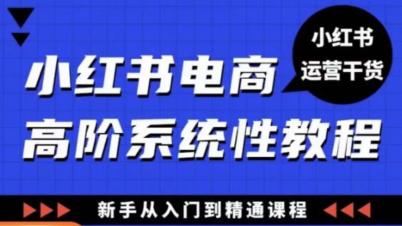 小红书电商高阶系统教程，新手从入门到精通系统课-文强博客