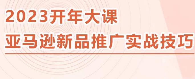 2023亚马逊新品推广实战技巧，线下百万美金课程的精简版，简单粗暴可复制，实操性强的推广手段-文强博客