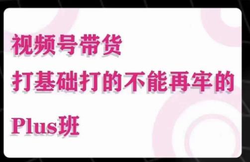 大播汇·视频号带货Puls班，视频号底层逻辑，起号自然流鱼塘等玩法-文强博客