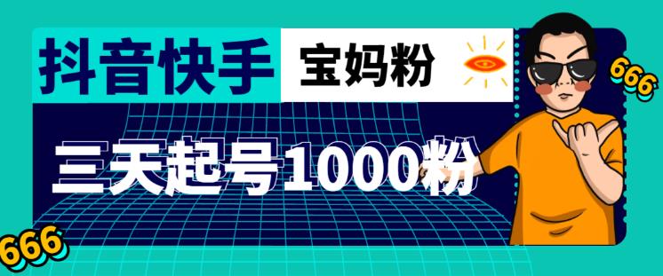 抖音快手三天起号涨粉1000宝妈粉丝的核心方法【详细玩法教程】-文强博客