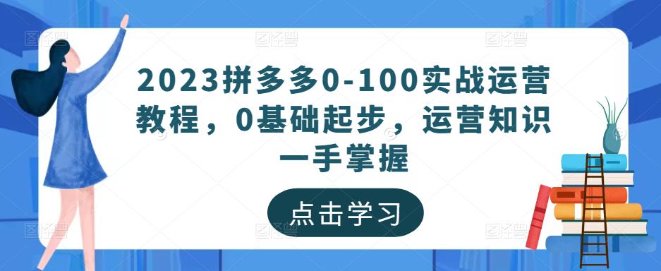 2023拼多多0-100实战运营教程，0基础起步，运营知识一手掌握-文强博客