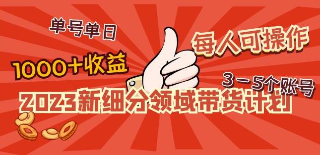 2023新细分领域带货计划：单号单日1000+收益不难，每人可操作3-5个账号-文强博客