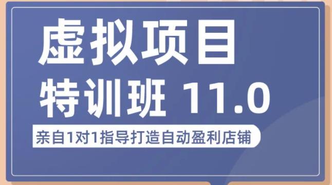 陆明明·虚拟项目特训班（10.0+11.0），0成本获取虚拟素材，0基础打造自动盈利店铺-文强博客