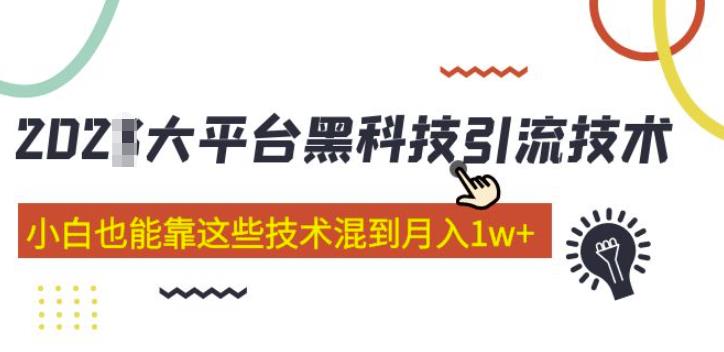 大平台黑科技引流技术，小白也能靠这些技术混到月入1w+(2022年的课程）-文强博客