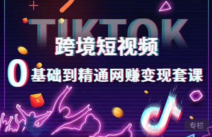 跨境短视频TIKTOK 0基础到精通网赚变现套课，跨境短视频独立站带货变现技巧-文强博客