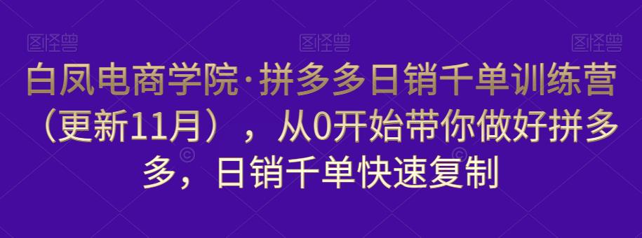 白凤电商学院·拼多多日销千单训练营，从0开始带你做好拼多多，日销千单快速复制（更新知2023年3月）-文强博客