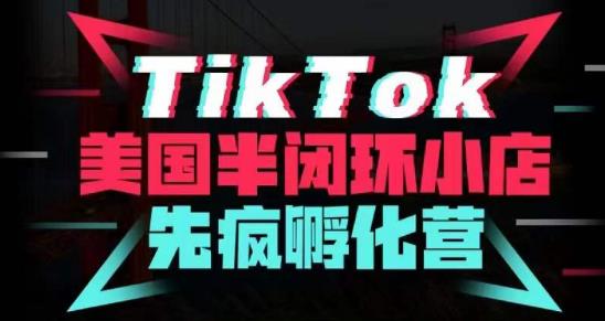 疯人院·TikTok美国半闭环小店孵化营，抢占TikTok美国蓝海市场，开店、运营、带货、投流全实操-文强博客